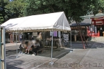 清瀬日枝神社・水天宮 境内に設置の待合所の様子