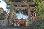 居木神社 境内入口の鳥居の様子