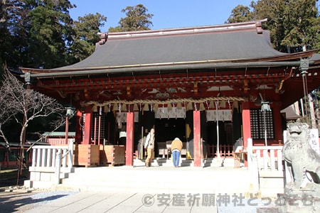 志波彦神社・鹽竈神社 志波彦神社の拝殿の様子