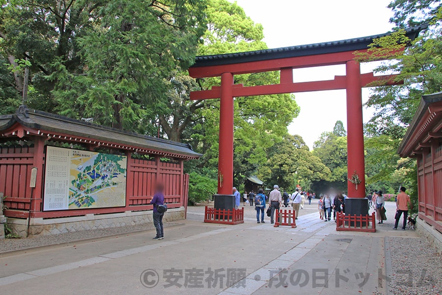 大宮氷川神社 境内直前の三の鳥居の様子