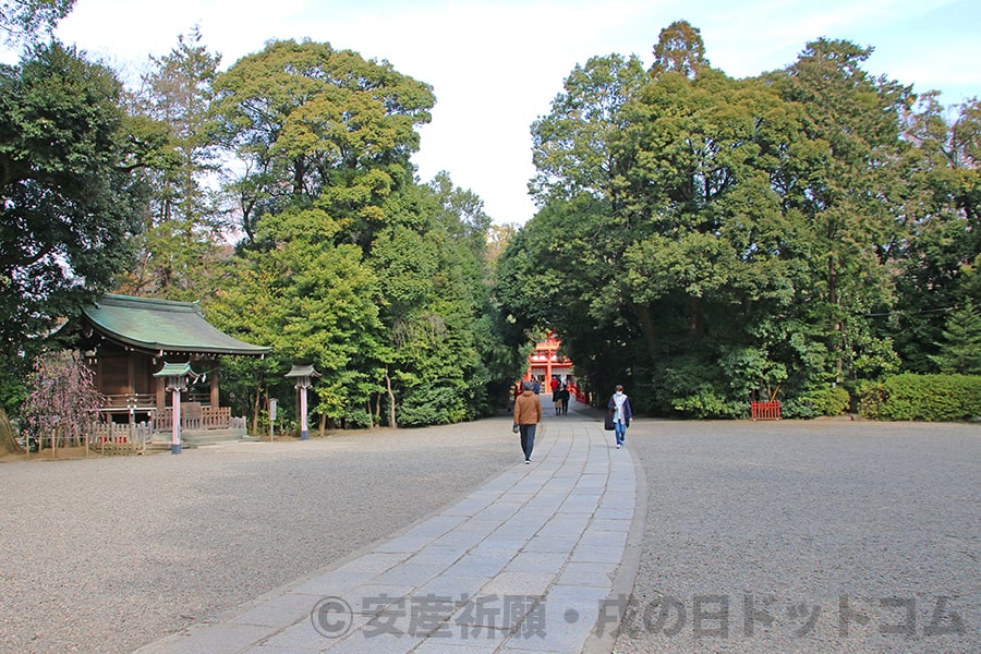 大宮氷川神社 境内 本殿・拝殿までの参道の様子