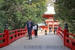 大宮氷川神社 神池にかけられた神橋の様子