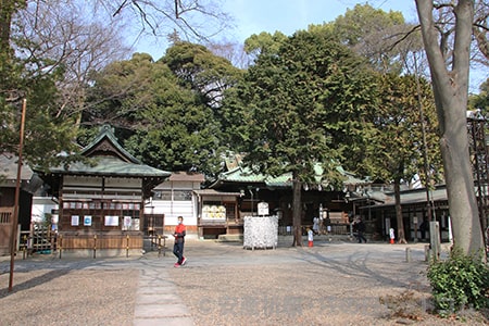 調神社 境内全体の様子