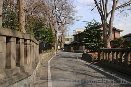 調神社 駐車場へ向かう道の様子 フォトギャラリー 安産祈願 戌の日ドットコム