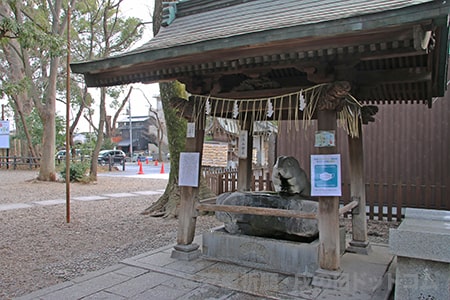 調神社 手水舎の兎像の様子