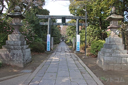 春日部八幡神社 表参道と鳥居の様子