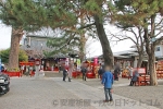 鴻神社 境内と参拝者の様子