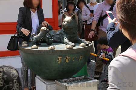 水天宮 境内の子宝いぬの様子