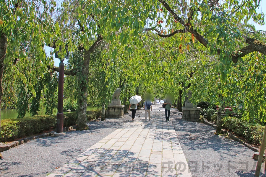 三嶋大社 参道の様子