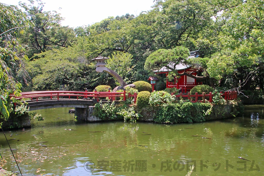 三嶋大社 神池と池中央の厳島神社の様子