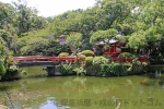 三嶋大社 神池と池中央の厳島神社の様子