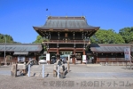 真清田神社 楼門と手前の反橋の様子