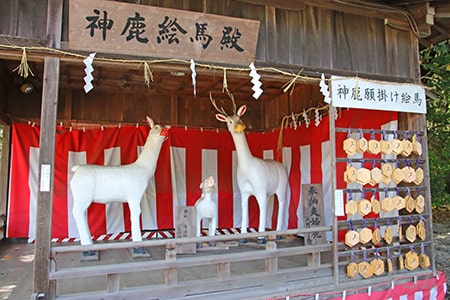 砥鹿神社 夫婦神鹿と子鹿像の様子