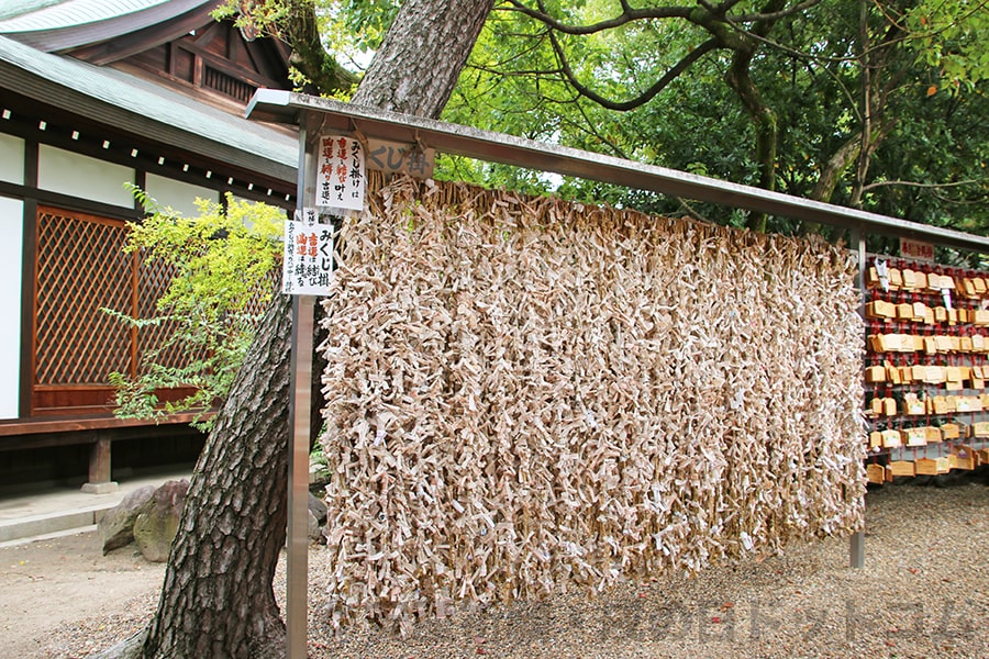 住吉大社 御本殿敷地内のおみくじ掛けの様子