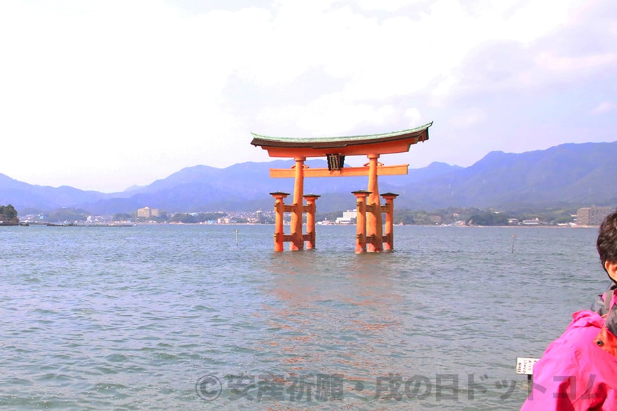 厳島神社 海に浮かぶ大鳥居の様子