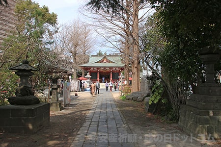 越谷 香取神社 境内参道の様子