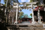 多摩川浅間神社 階段上りきって見える鳥居と奥の本殿の様子