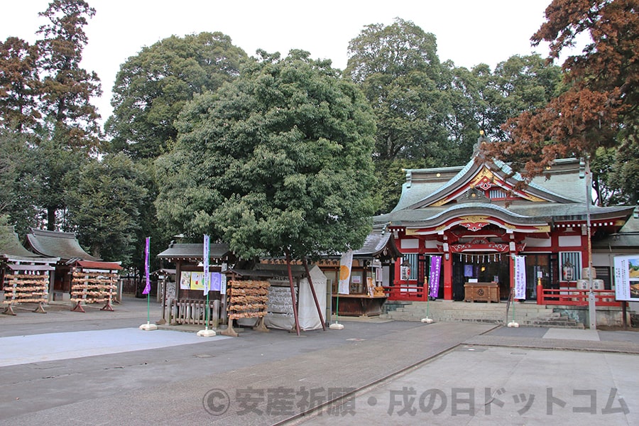 清瀬日枝神社・水天宮 日枝神社の拝殿・本殿の様子