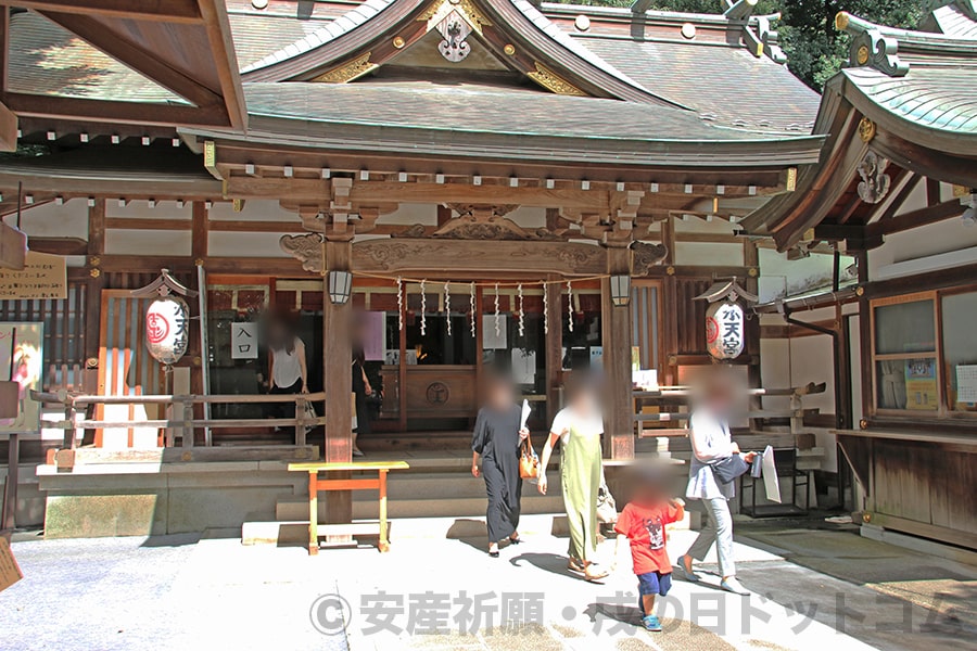 清瀬日枝神社・水天宮 安産祈願の御祈祷を終え本殿を後にする妊婦ママさんたちの様子（その2）