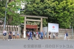 川越氷川神社 境内入口の鳥居の様子