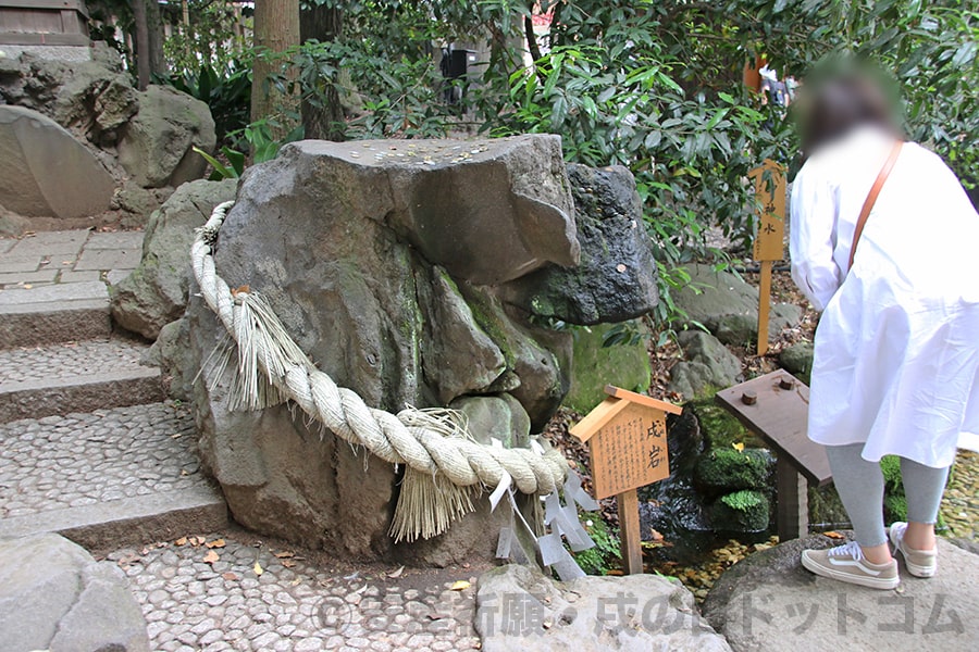 川越氷川神社 戌岩の様子