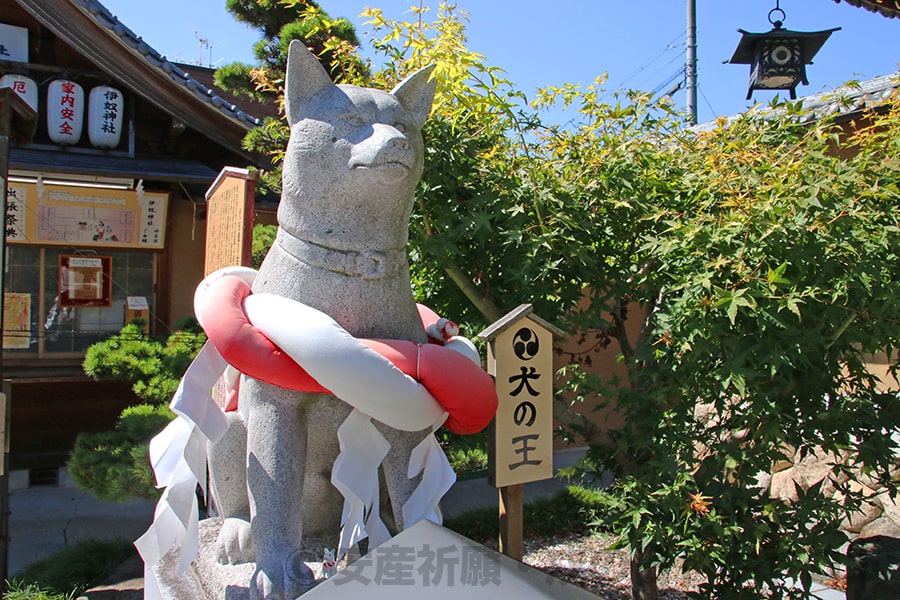 伊奴神社 犬の王像の様子