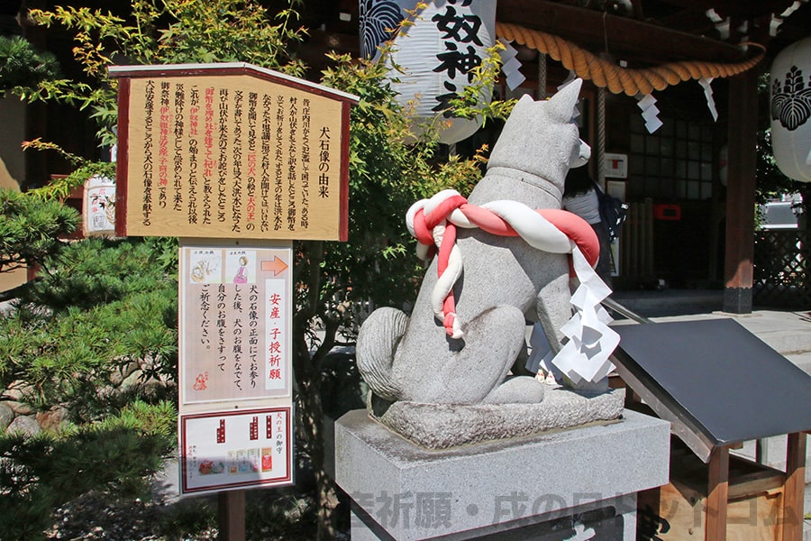 伊奴神社 犬石像の由来に関する看板の様子