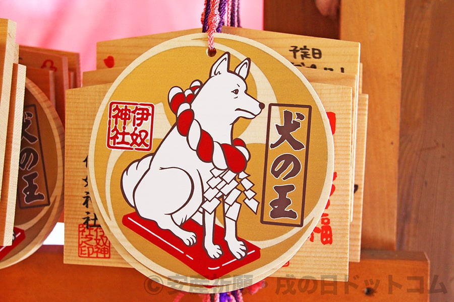 伊奴神社 犬の王の絵馬の様子