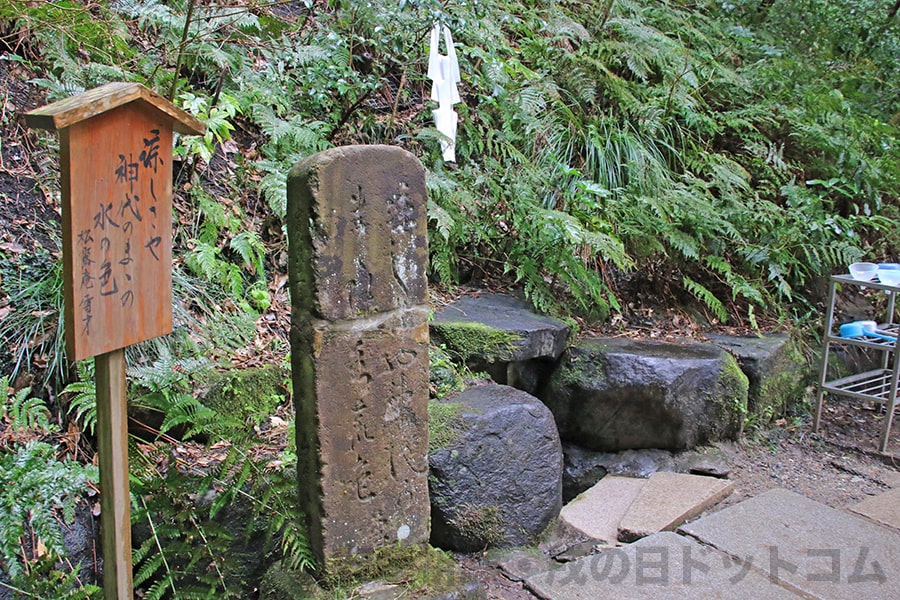 鹿島神宮 湧水の様子