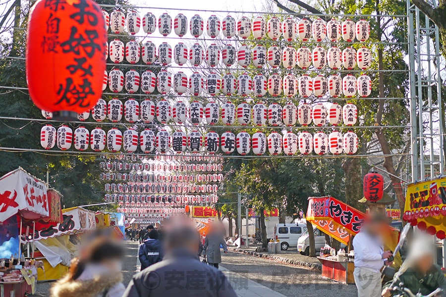 大國魂神社 参道に掲げられた多くの提灯の様子