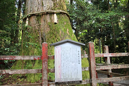 箱根神社 神奈川県足柄下郡箱根町 安産祈願 戌の日 詳細 境内 祈祷受付 申込 駐車場など