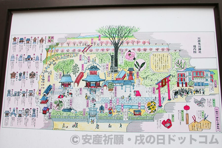 川越氷川神社 境内案内図の様子