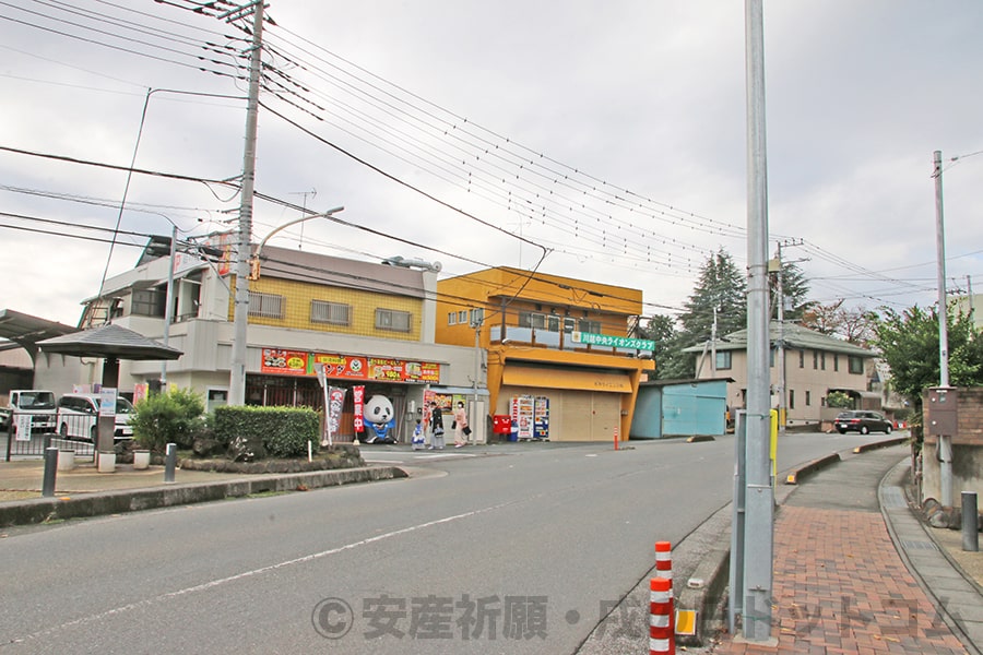 川越氷川神社 駐車場から境内に向かう道路（川越上尾線）の様子