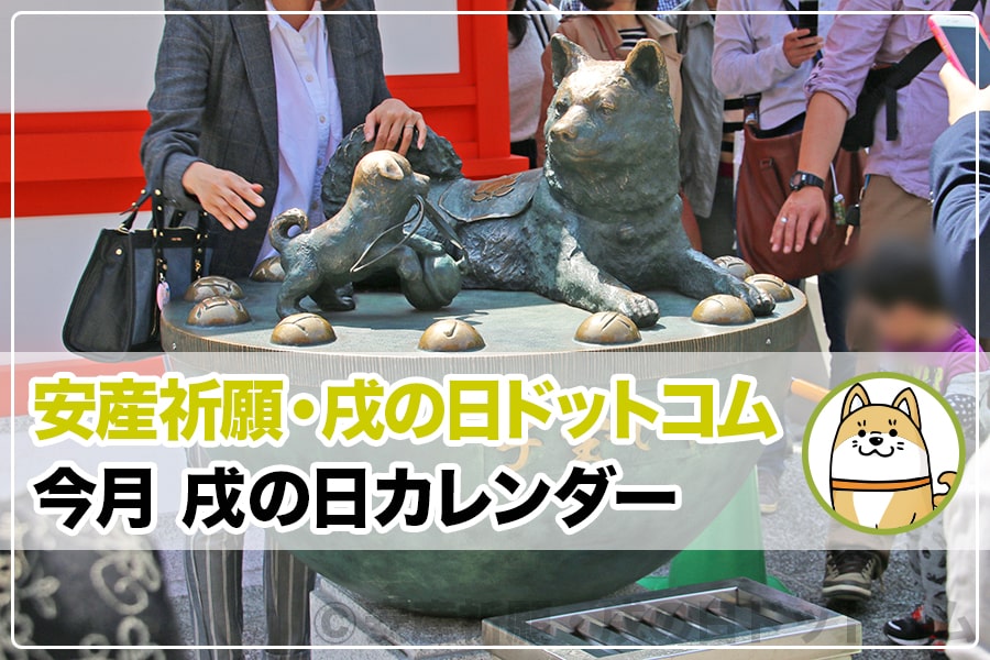 今月2026年7月 戌の日カレンダー|安産祈願の混雑予想と日程一覧
