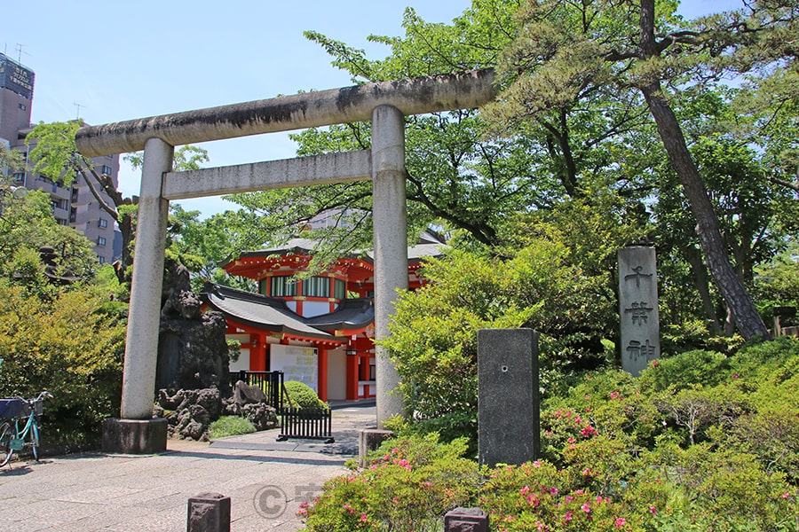 千葉神社 境内入口の鳥居の様子