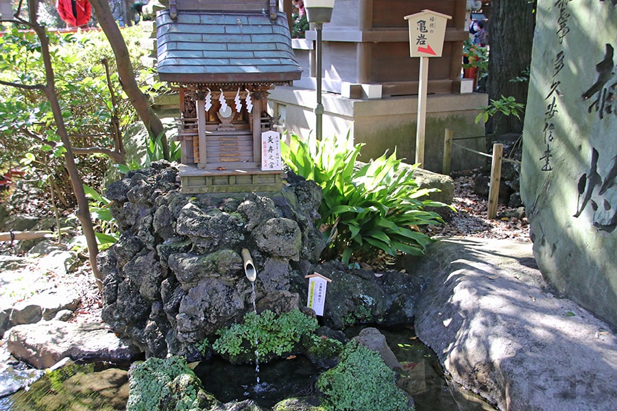 千葉神社 美寿之宮・延寿の井の水の様子