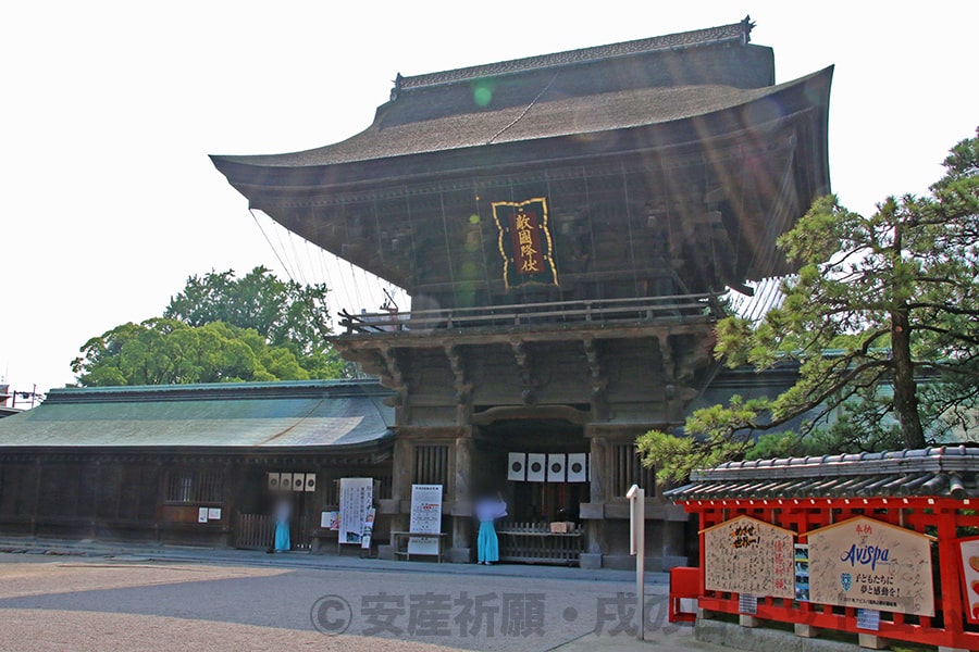 筥崎宮 楼門の様子